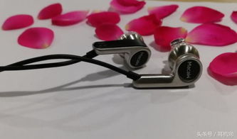 國(guó)產(chǎn)小美脈歌再推新作 MACAW RT 20單動(dòng)圈Hi-Fi耳機(jī)，電子配件市場(chǎng)的璀璨明珠